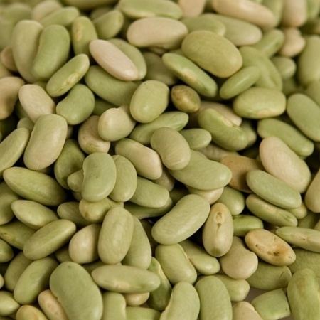 Flageolets Verts BIO