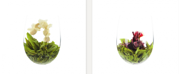 Fleur de Th� Vert