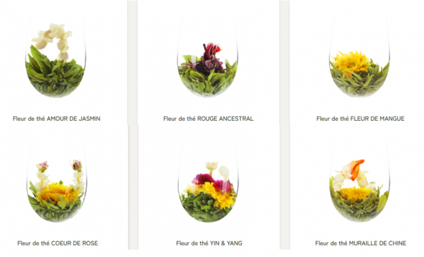Fleurs de Th� Blanc