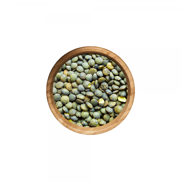 Lentilles Vertes BIO