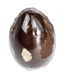 Oeuf de P&acirc;ques en Nougat