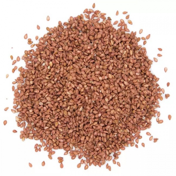 S�same � la Prune Umeboshi