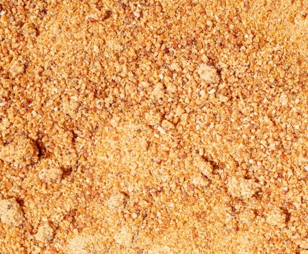 Sucre de Dattes Bio